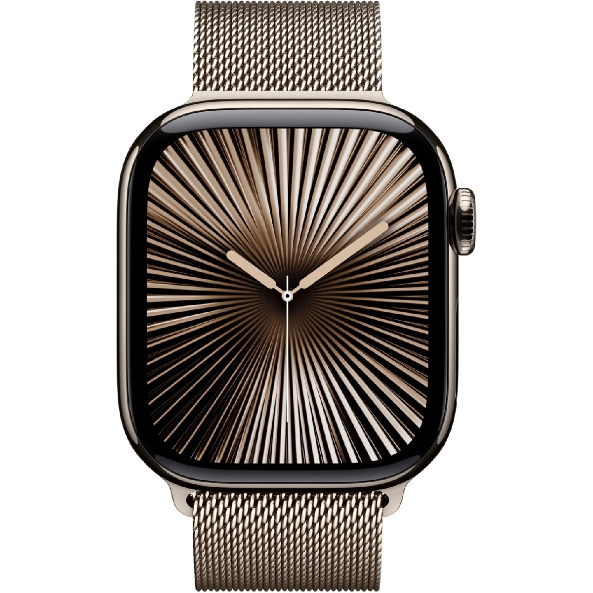 Apple Watch 10 LTE 46mm Titan, natural (MWYC3)