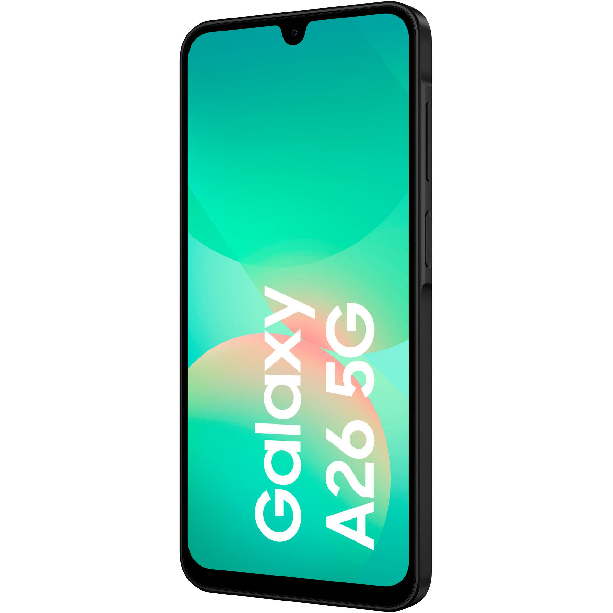 Samsung A266B A26 5G 256GB, black (EU)