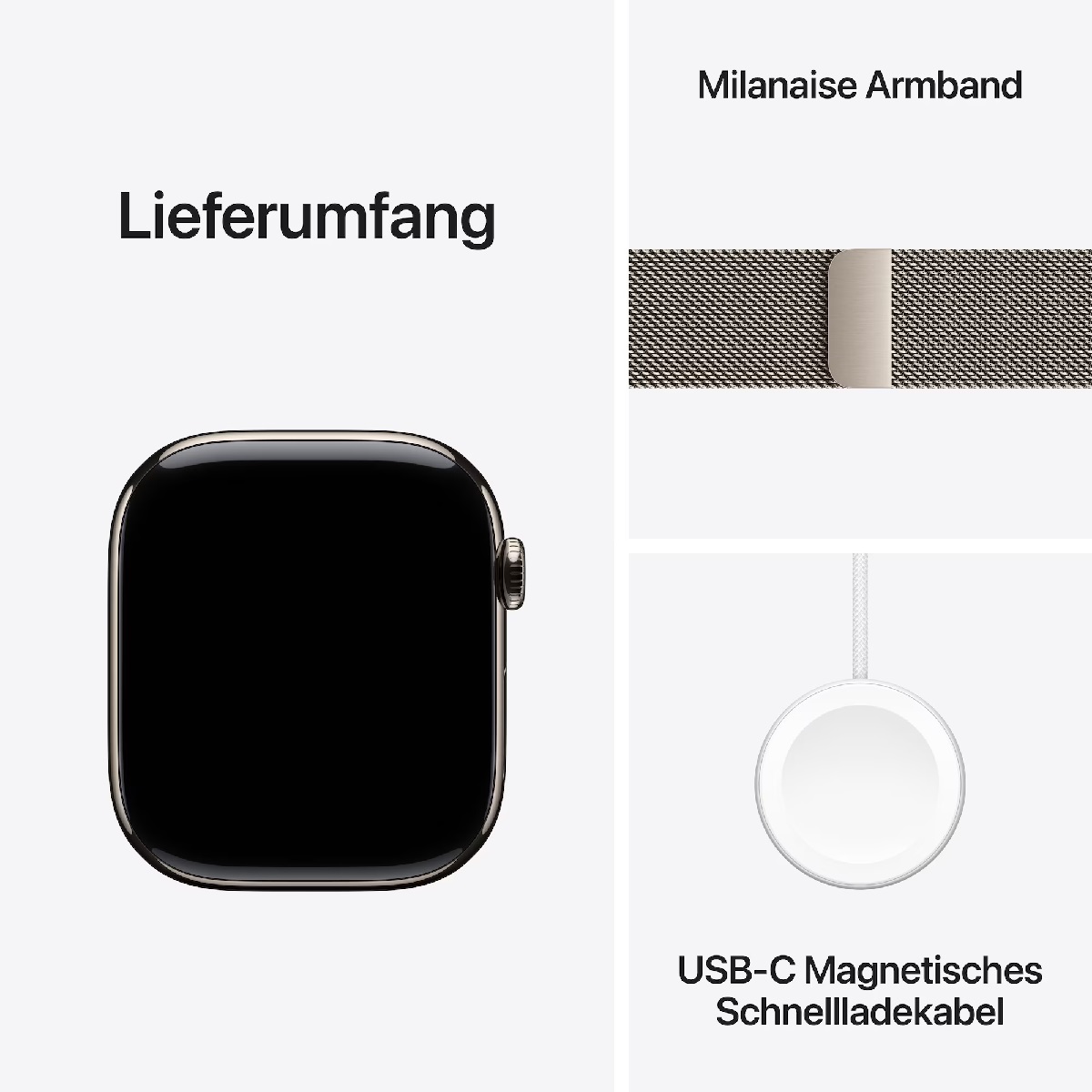 Apple Watch 10 LTE 46mm Titan, natural (MWYC3)