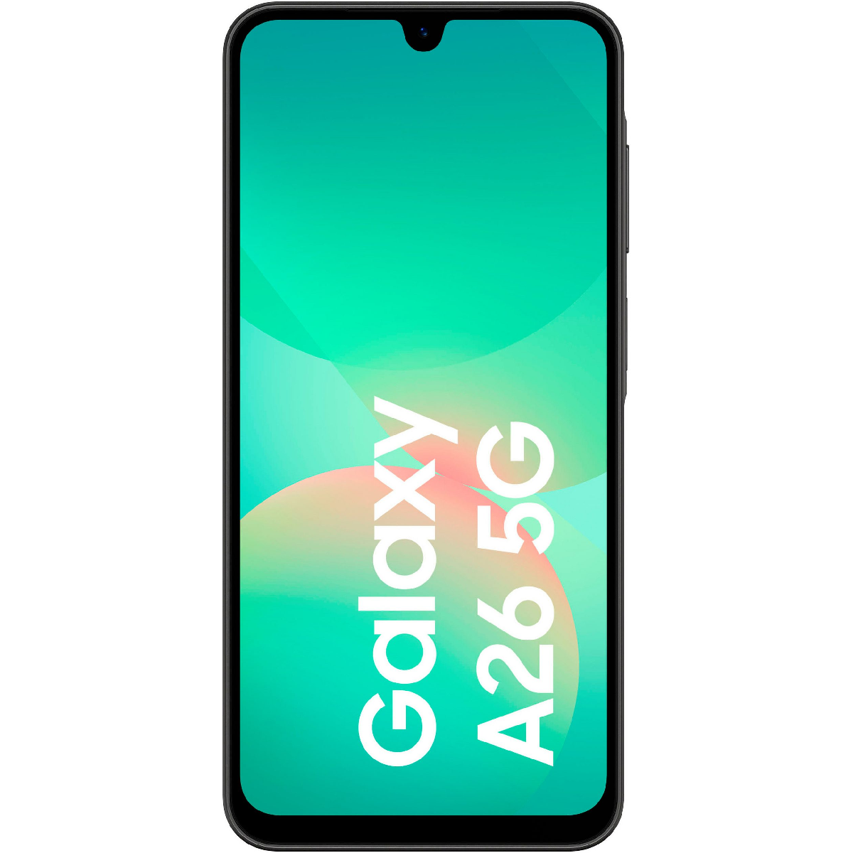 Samsung A266B A26 5G 256GB, black (EU)