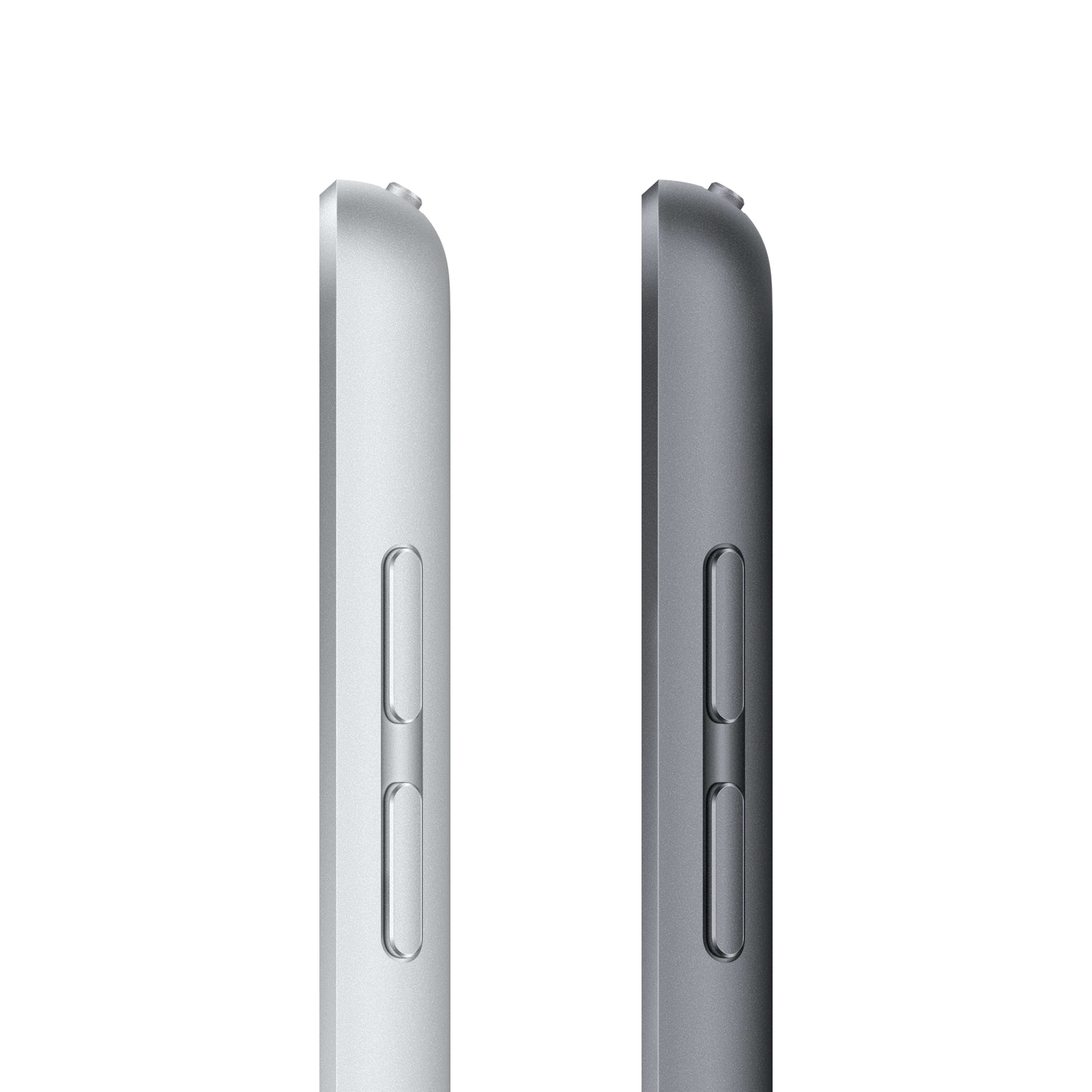 Apple iPad 10.2" 2021 256GB, silver [W] (MK2P3)
