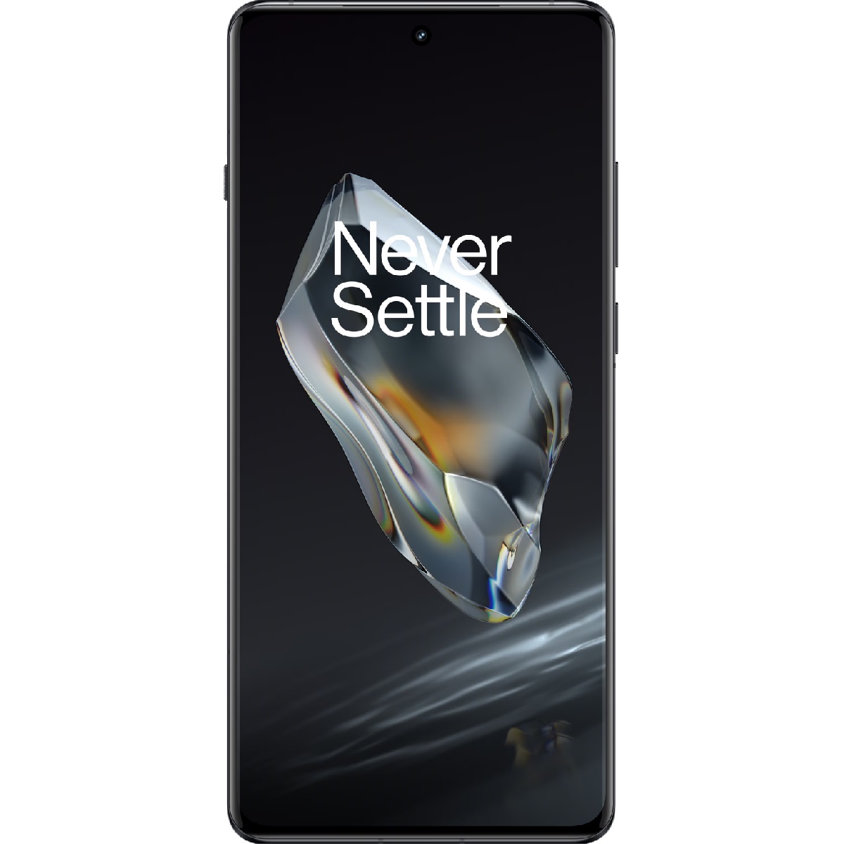OnePlus 12 5G 12GB/256GB, black (EU)