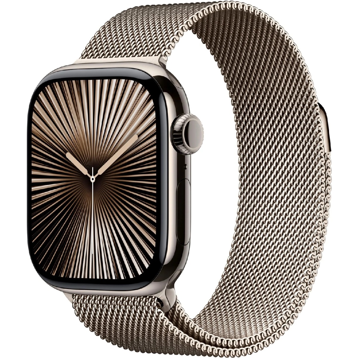 Apple Watch 10 LTE 46mm Titan, natural (MWYC3)